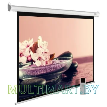Проекционный экран CACTUS MotoExpert 360x270 (CS-PSME-360x270-WT)